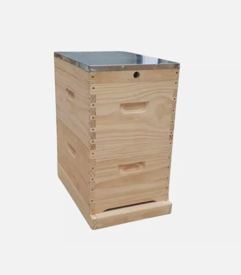 Premium 10 Frame Double Hive Kit with 20 Flat Pack Frames and Plastic Queen Excluder