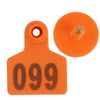1-100 Extra Large (9.5x7cm) Ear Tags With Numbers - 4 Colours Available