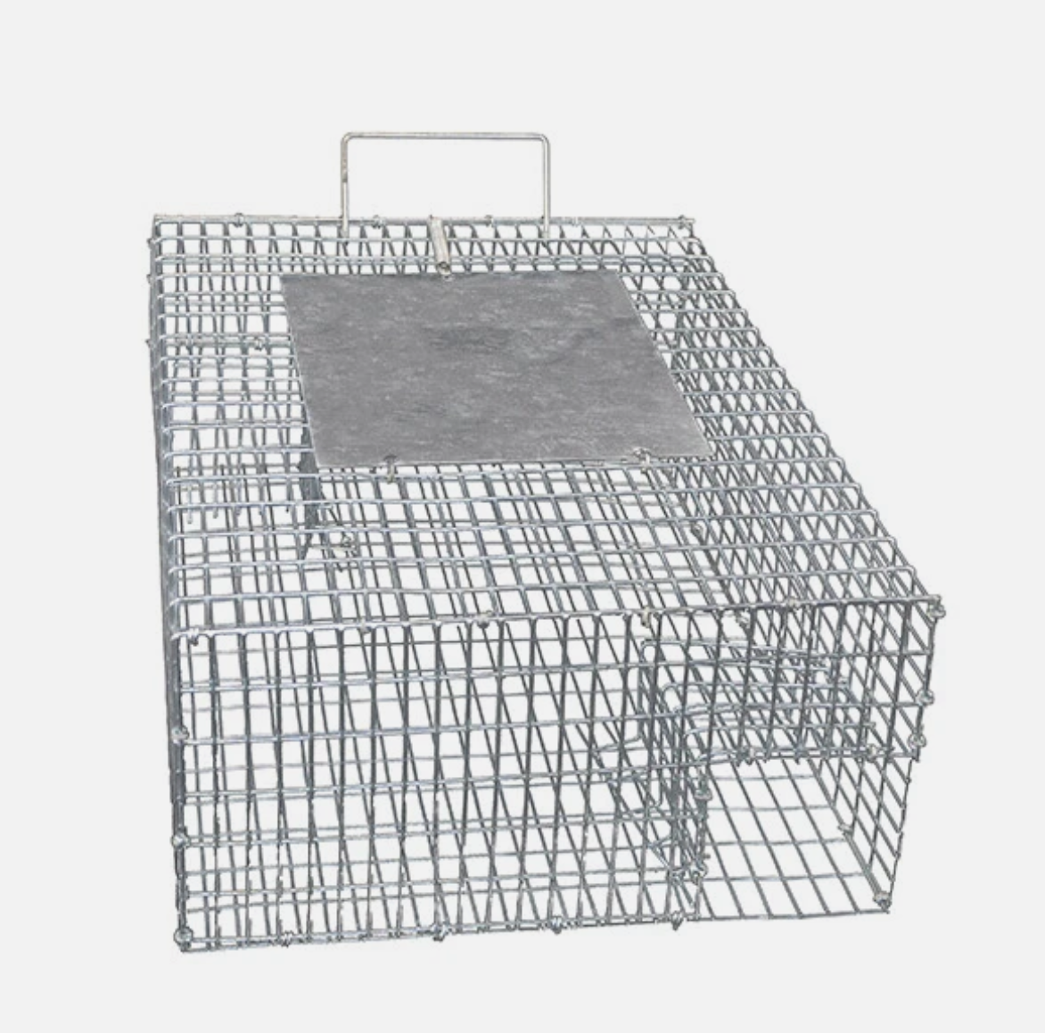 Heavy Duty Humane Sparrow Bird Trap - Safe And Efficient AU – Tool Plus