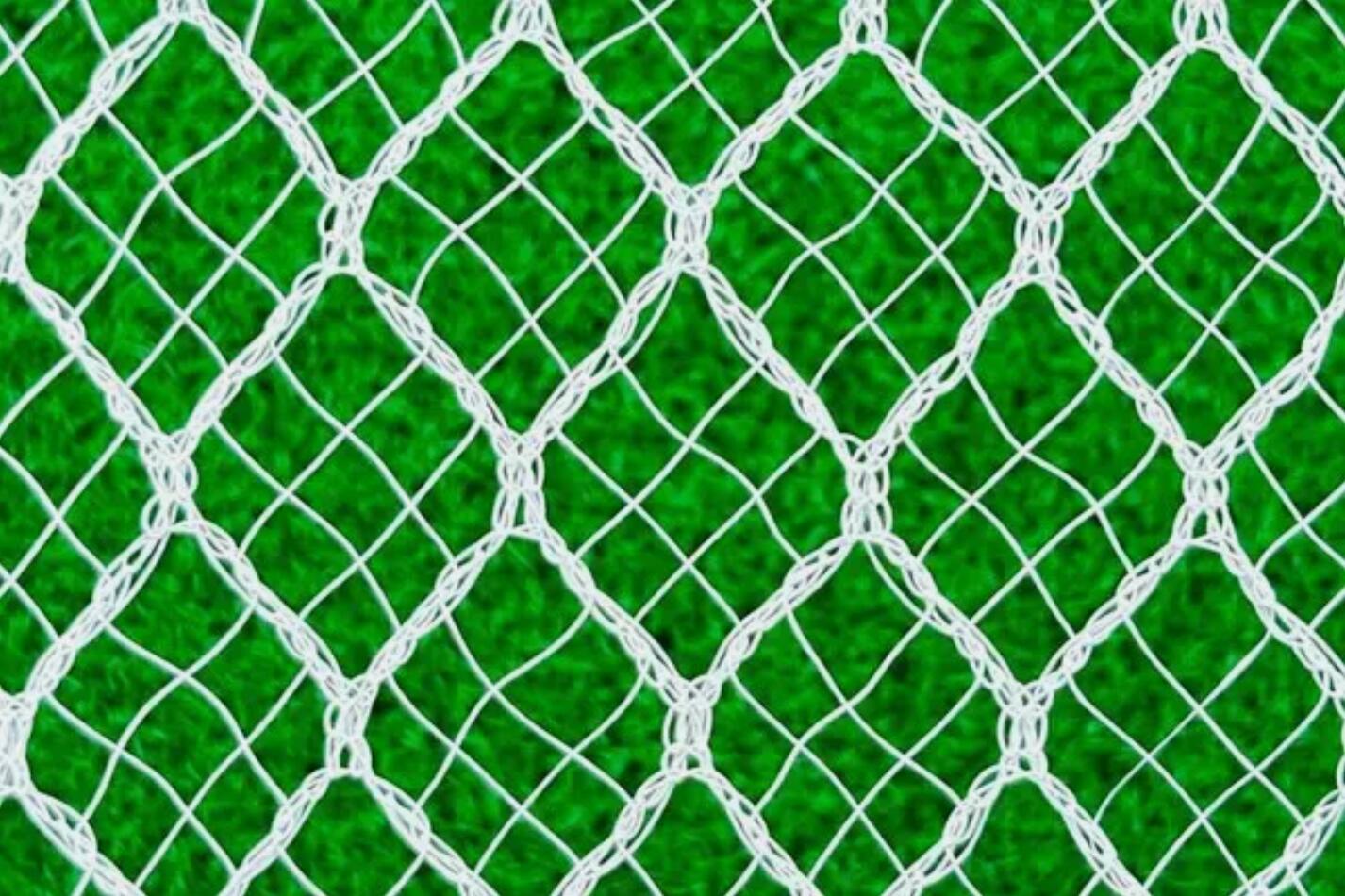 10M x 10M Heavy Duty X-Weave 40GSM Strong Light-weight Bird Netting White Farm