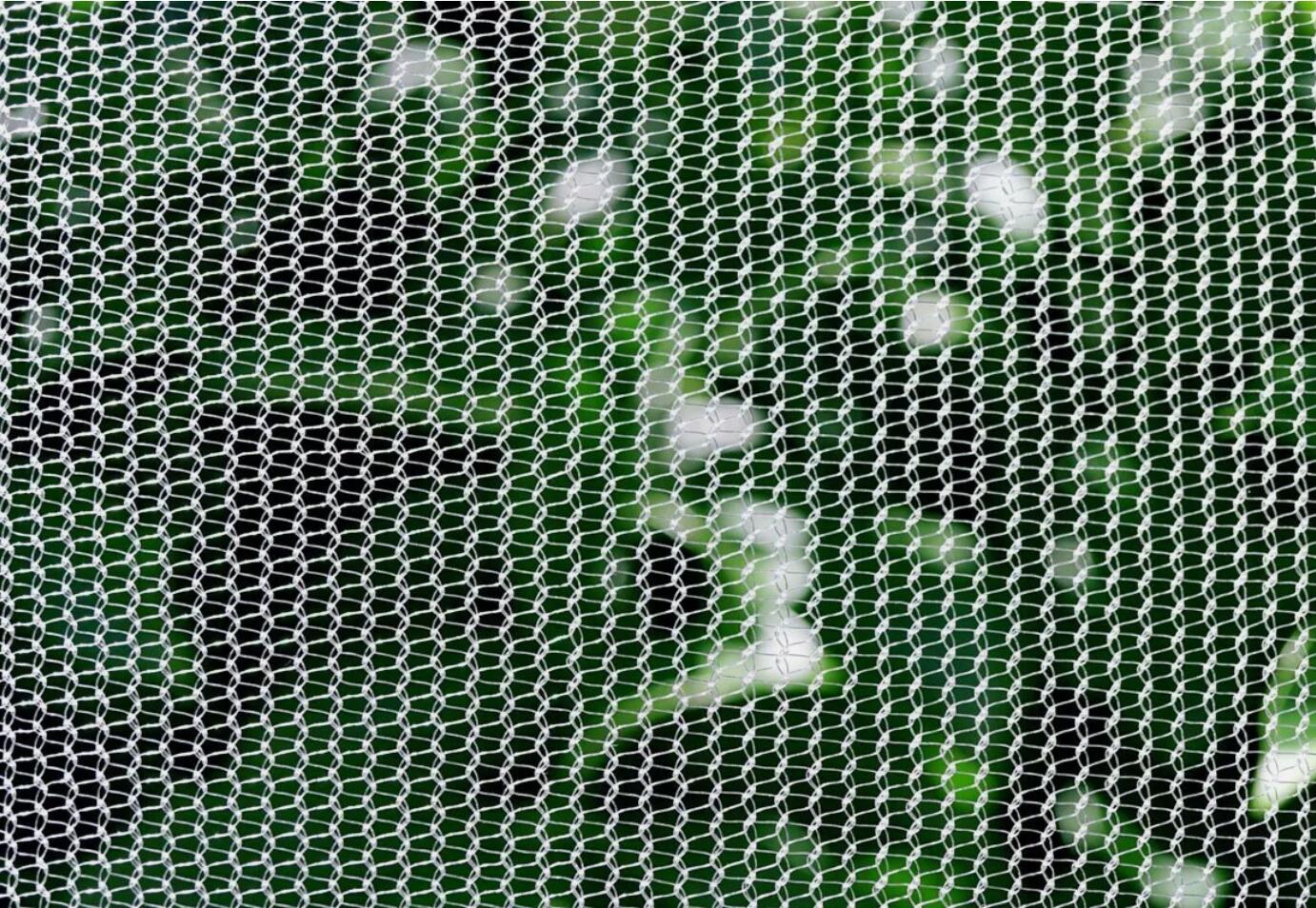 Strong 10M x 6M Fruit Fly Netting 45gsm Insect Bug Fly Fruit Cage Mesh AU