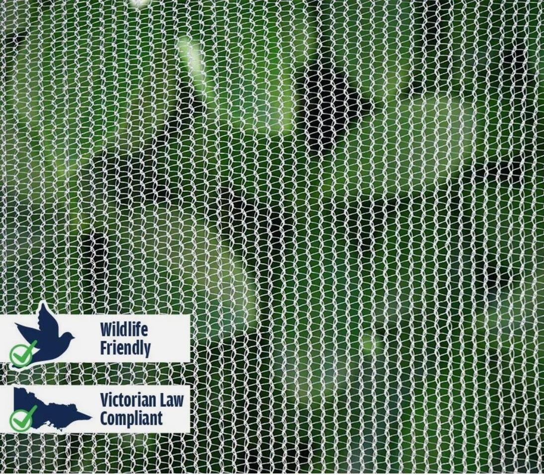 Strong 10M x 6M Fruit Fly Netting 45gsm Insect Bug Fly Fruit Cage Mesh AU