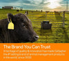 100M All In One Portable Electric Fence Suitable for Horse Cattle & Sheep PORTABLE FENCING
