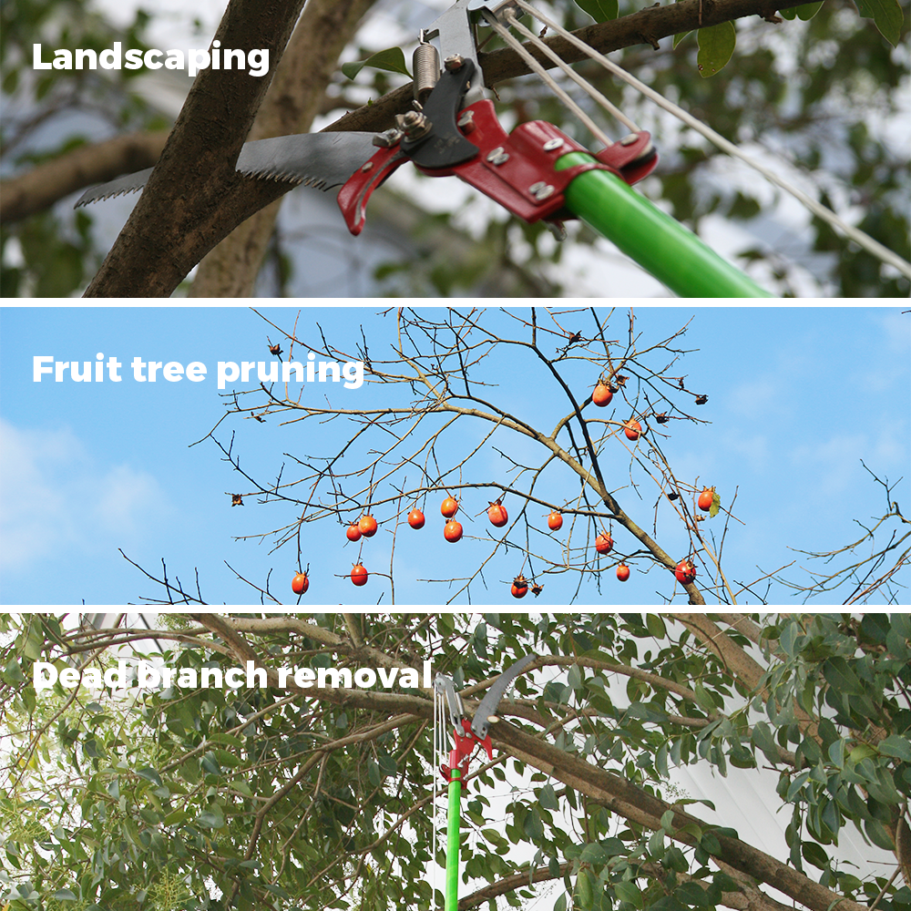 Detachable Tree Step 8m Detachable Pole Pruning Saw Tree Trimmer – Tool Plus