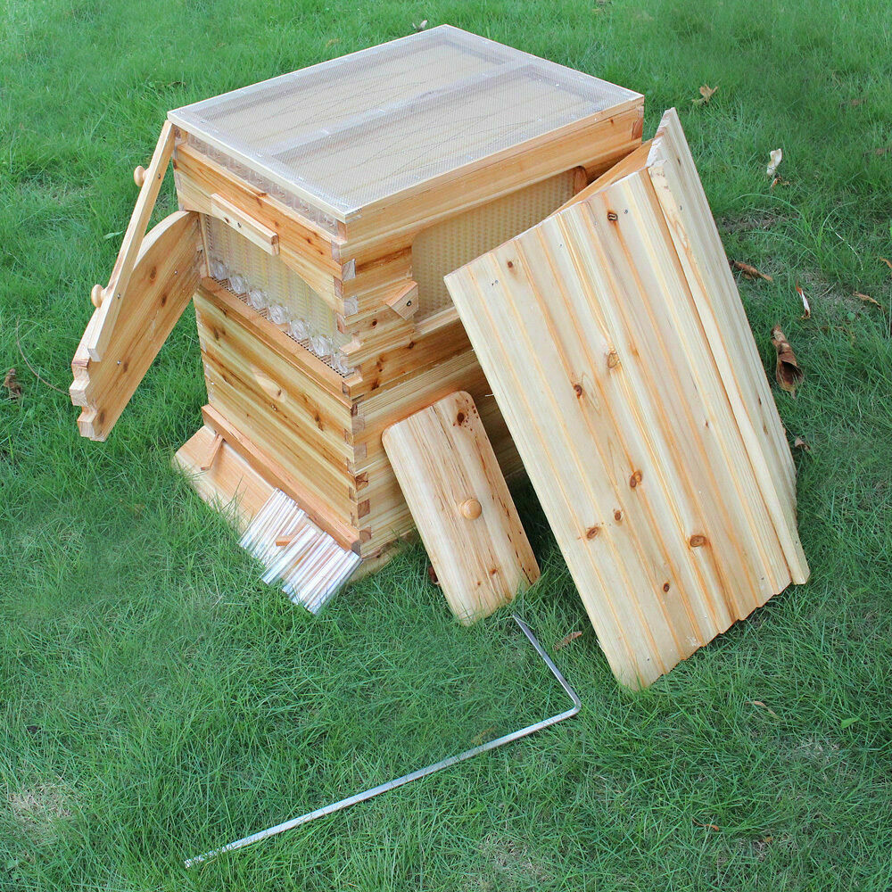 2-Layer Wooden Beehive Box Beekeeping House