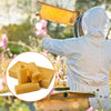 30Pcs Honeycomb Foundation Bee Hive Wax Frames Waxing Beekeeping Sheet