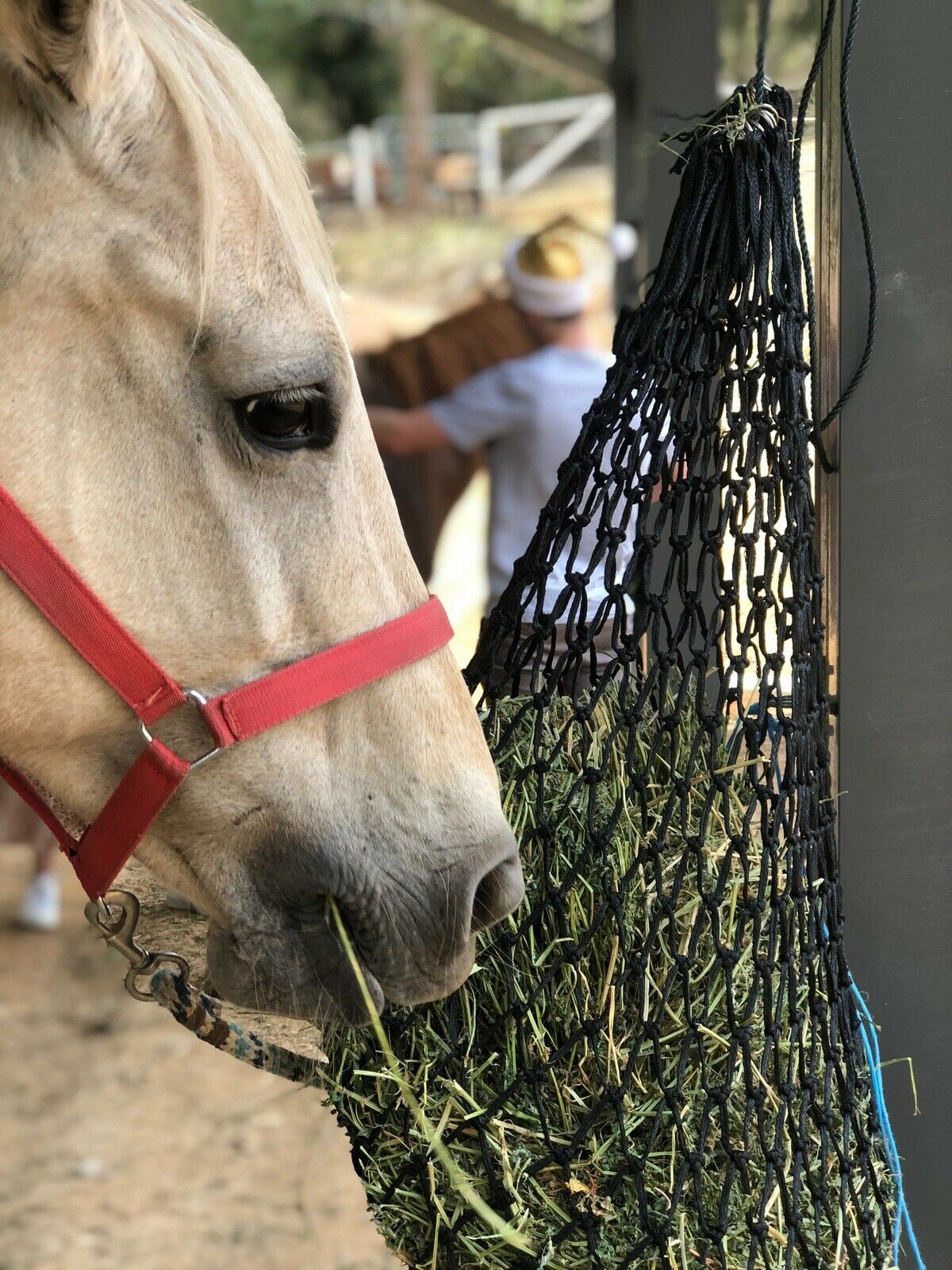 HORSES NEIGH NET HAY NET SLOW FEEDER